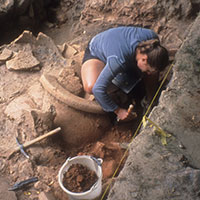 Fieldwork Fellowship