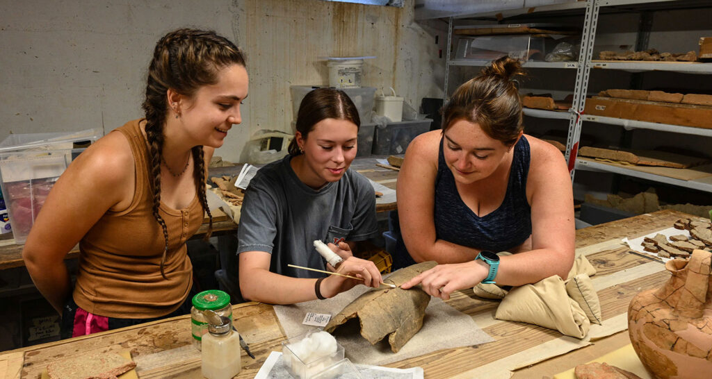 Conservation fellowship