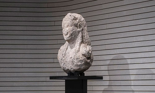 Conservation Fellowship